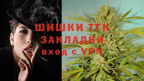 гидра Бугульма
