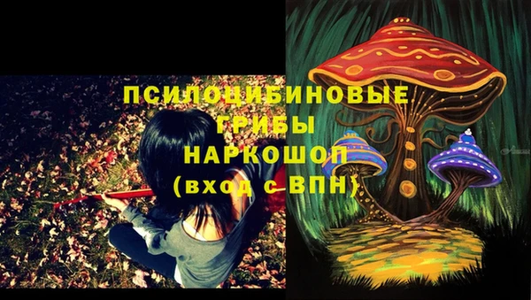 герыч Дубовка