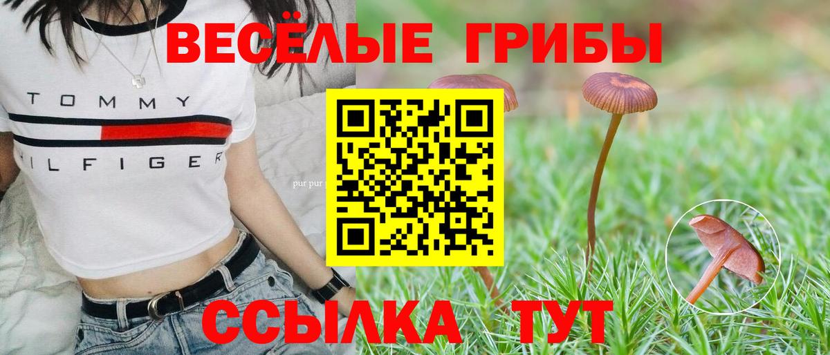 Медногорск  наркотики  Вход с VPN  Псилоцибиновые грибы ЛСД 